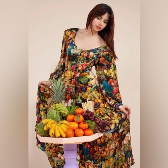 🍇 Samantha Pleet  🌹✨ Banquet Dress - Harvest Print 🍇  NWT - Picture 1 of 11